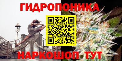 метадон Дубна